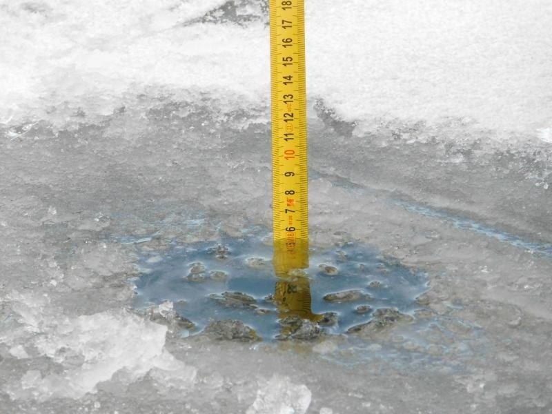 photo 5395339631387151589 x